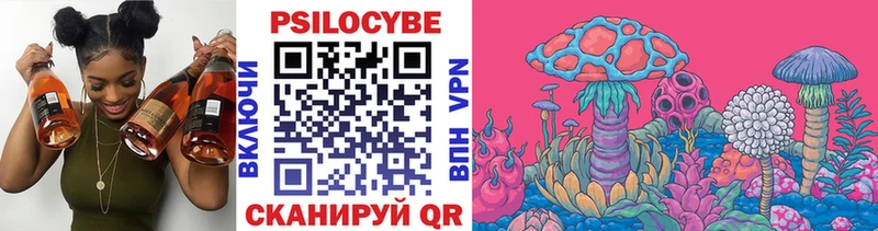 Галлюциногенные грибы MAGIC MUSHROOMS  ссылка на мегу tor  Пудож 