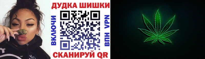 kraken онион  Пудож  Конопля гибрид 